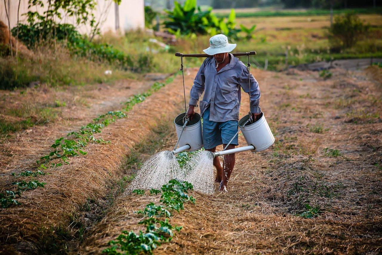 watering, watering can, man